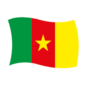 Federation Camerunaise de Volleyball 